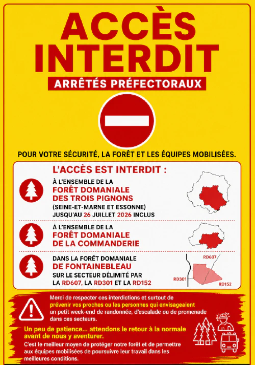 images/foret-interdite.png